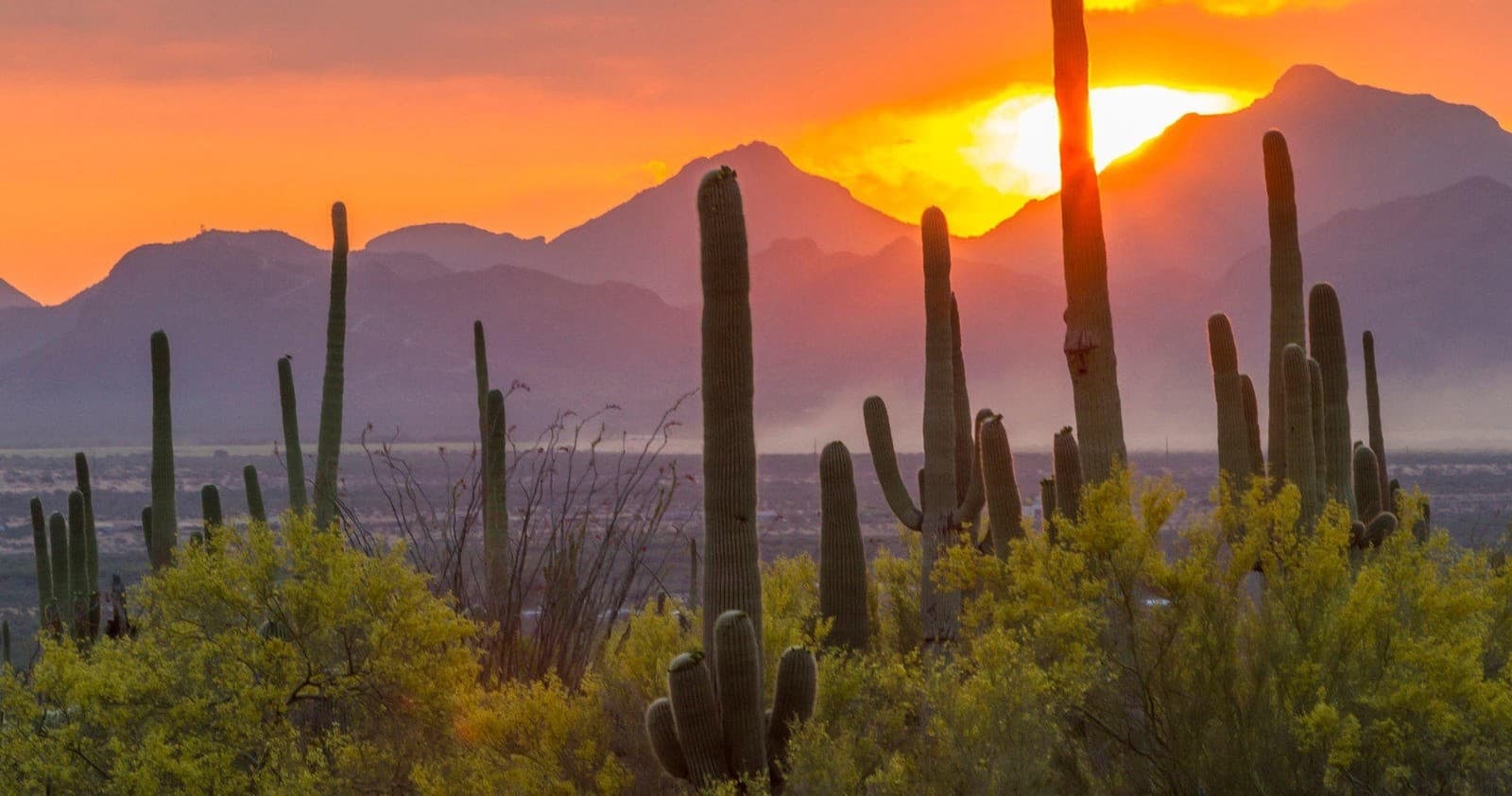 Special Occasions • Great Western Trail Jeep Tour with stop at the Rio Verde