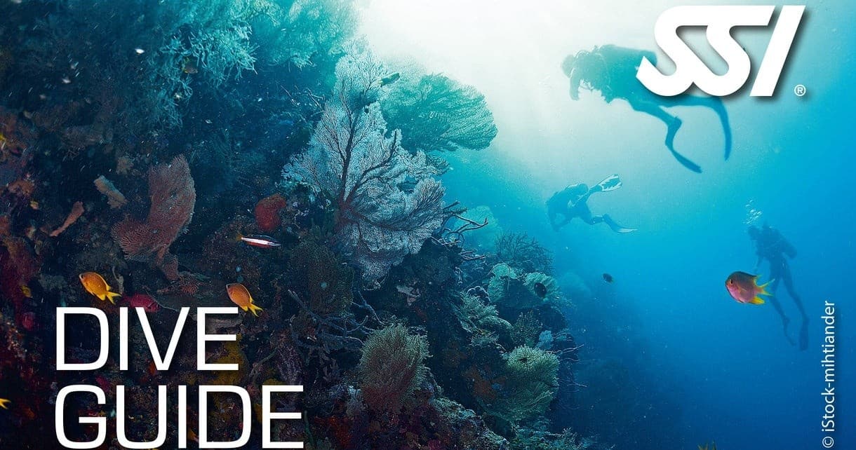SSI Dive Guide VIP Kurs
