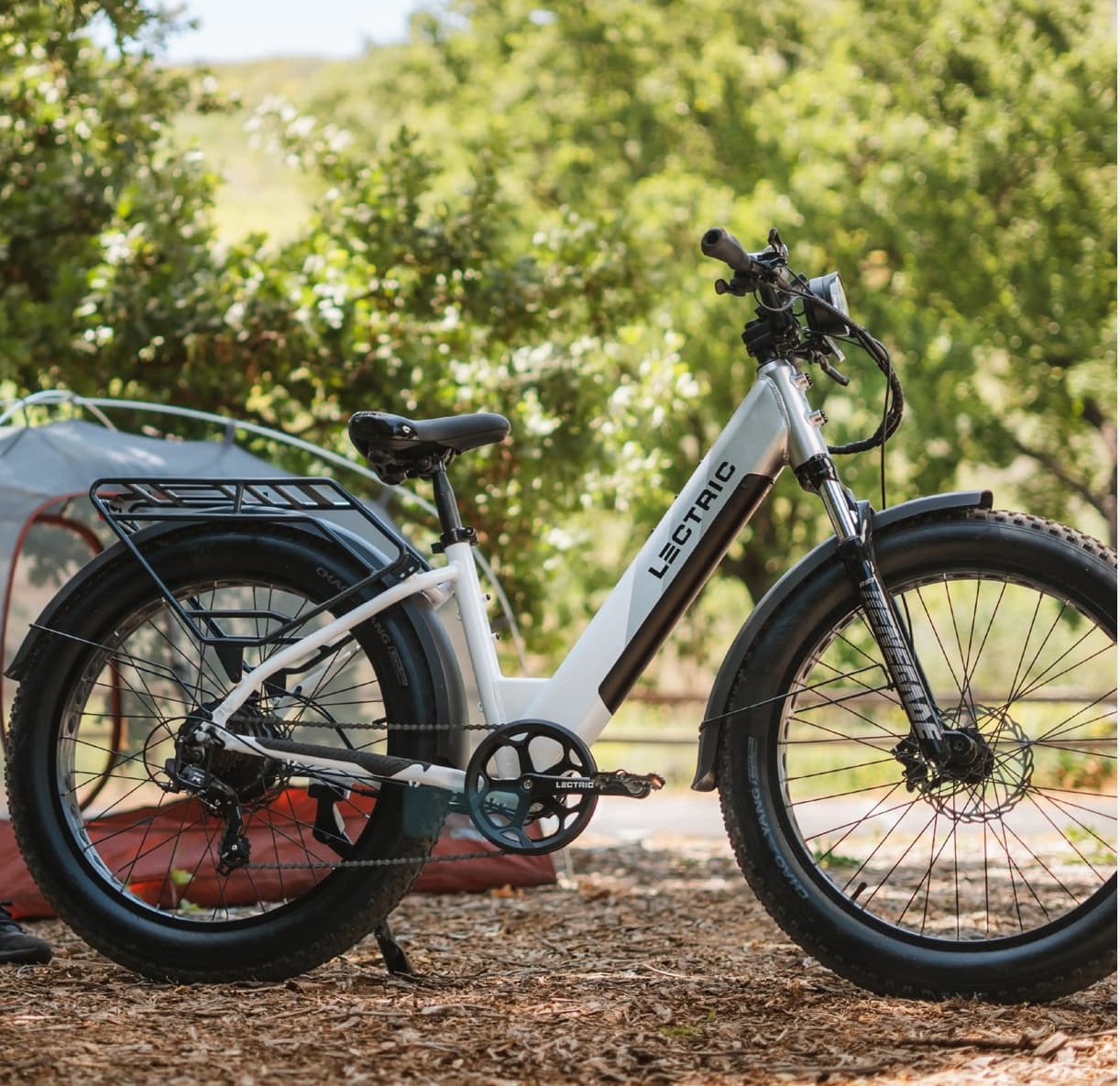 Step Thru E-bike