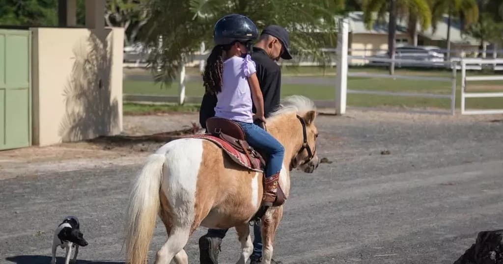 Pony Tour