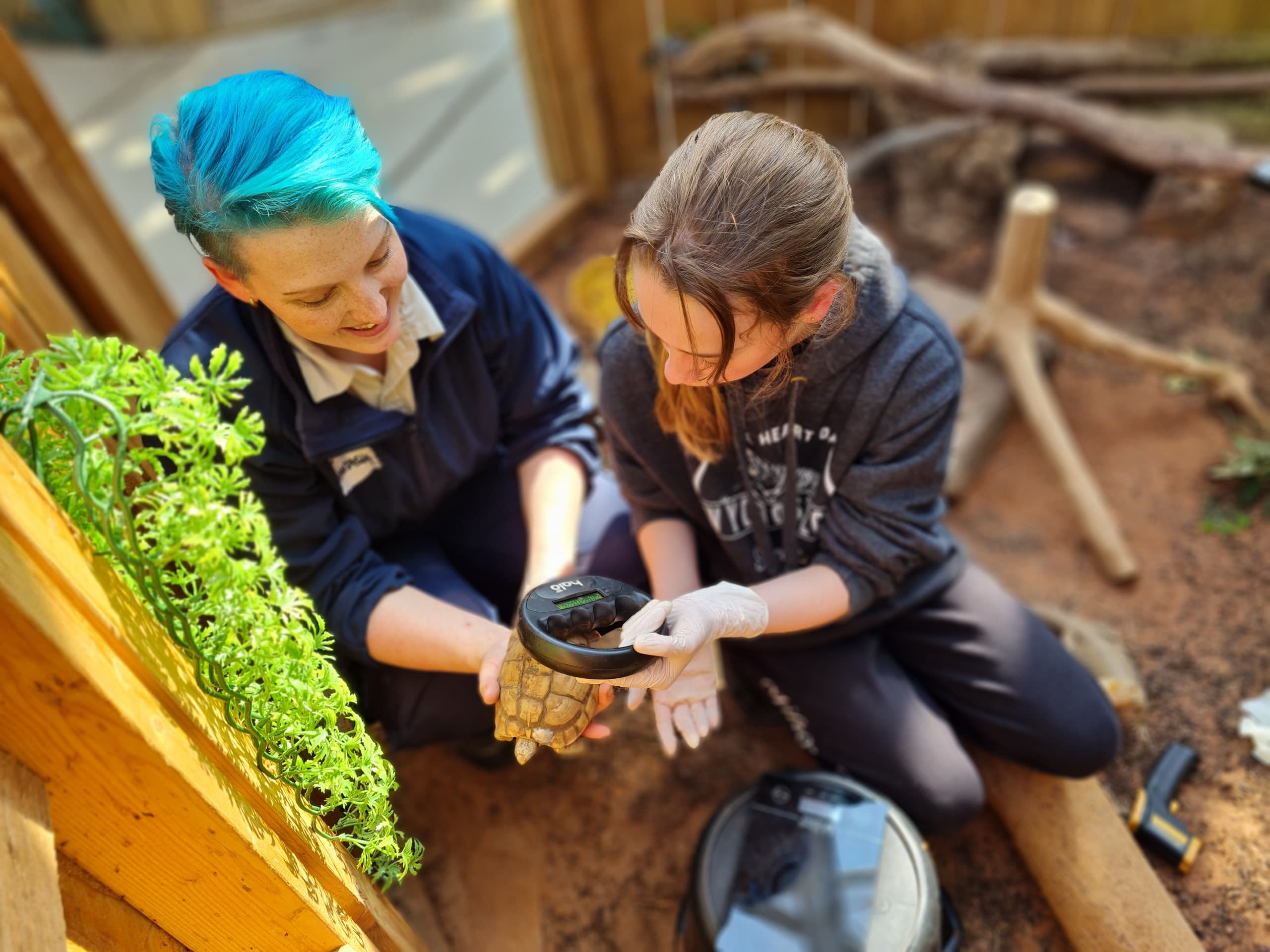 Zoo Keeper Experience