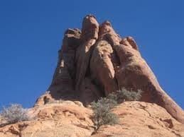 Rhino Horn Tower