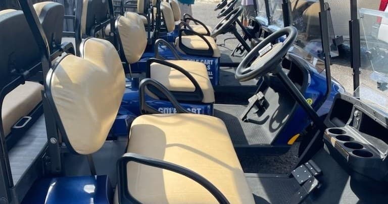 5-Day Golf Cart Rental