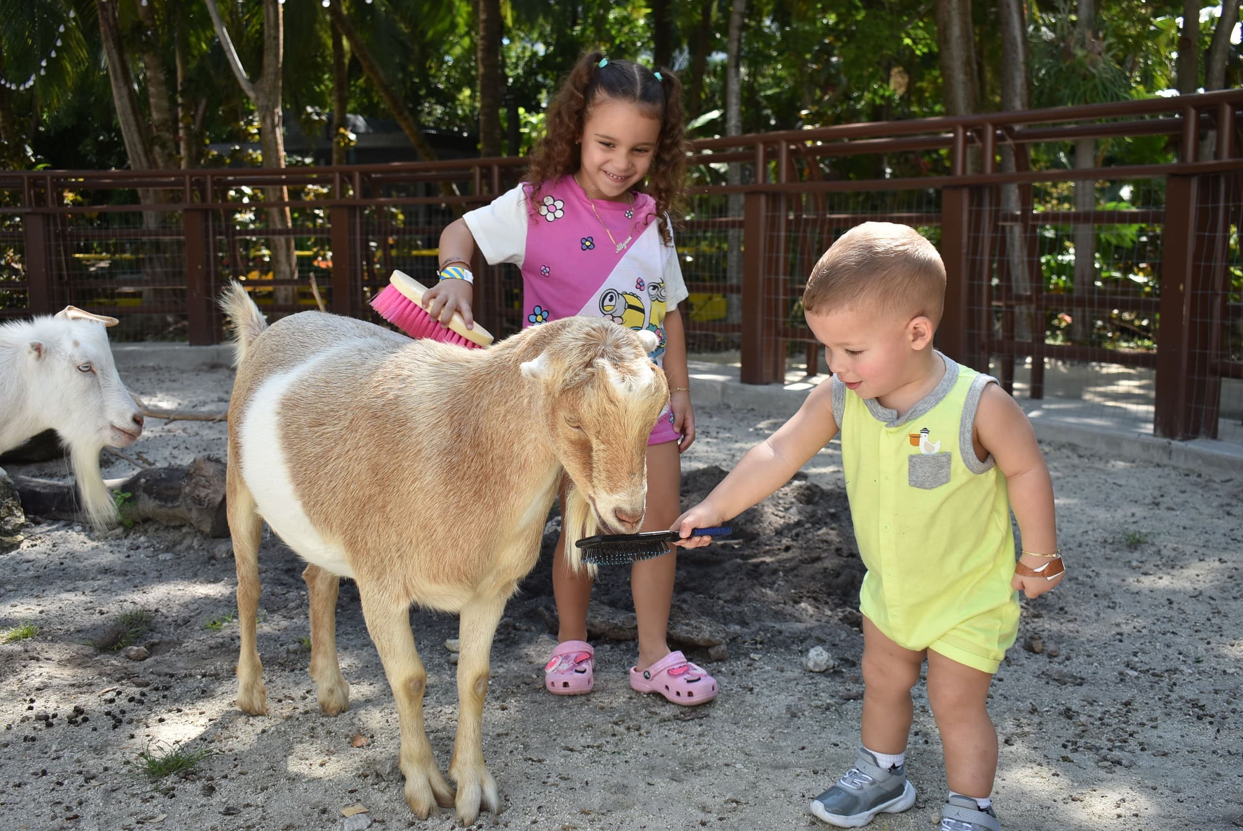 Kids VIP Experience