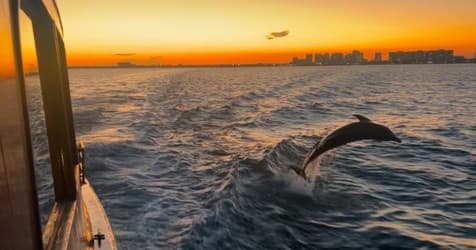 Vizcaya Sunset Cruise