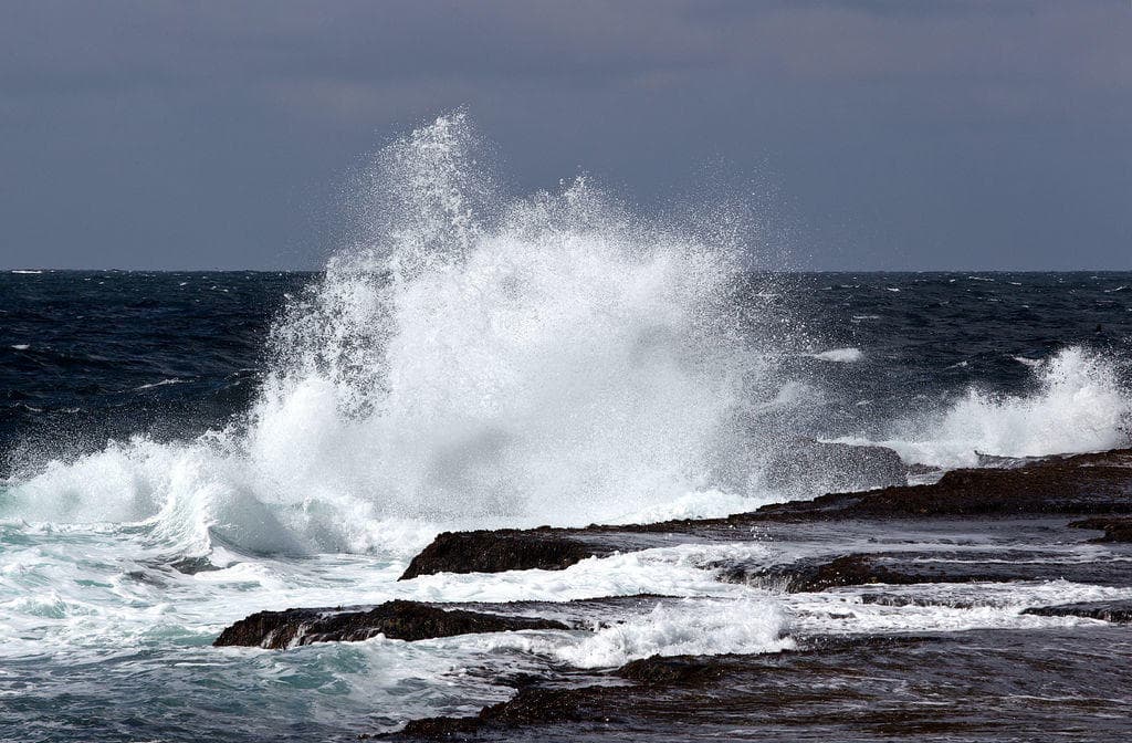 Wild Coast Tour