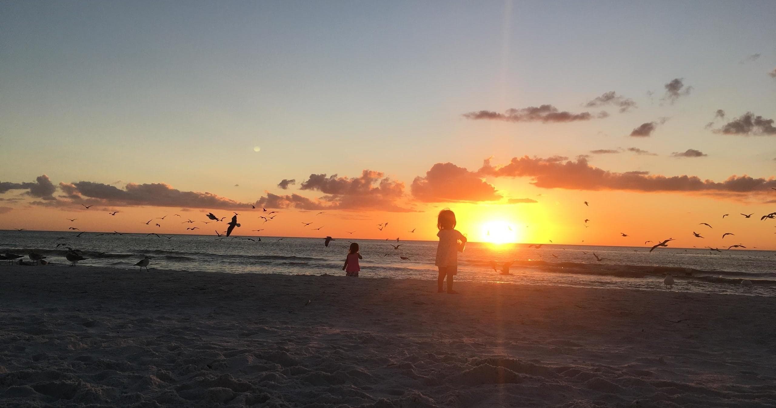 Sunset Eco-Tour