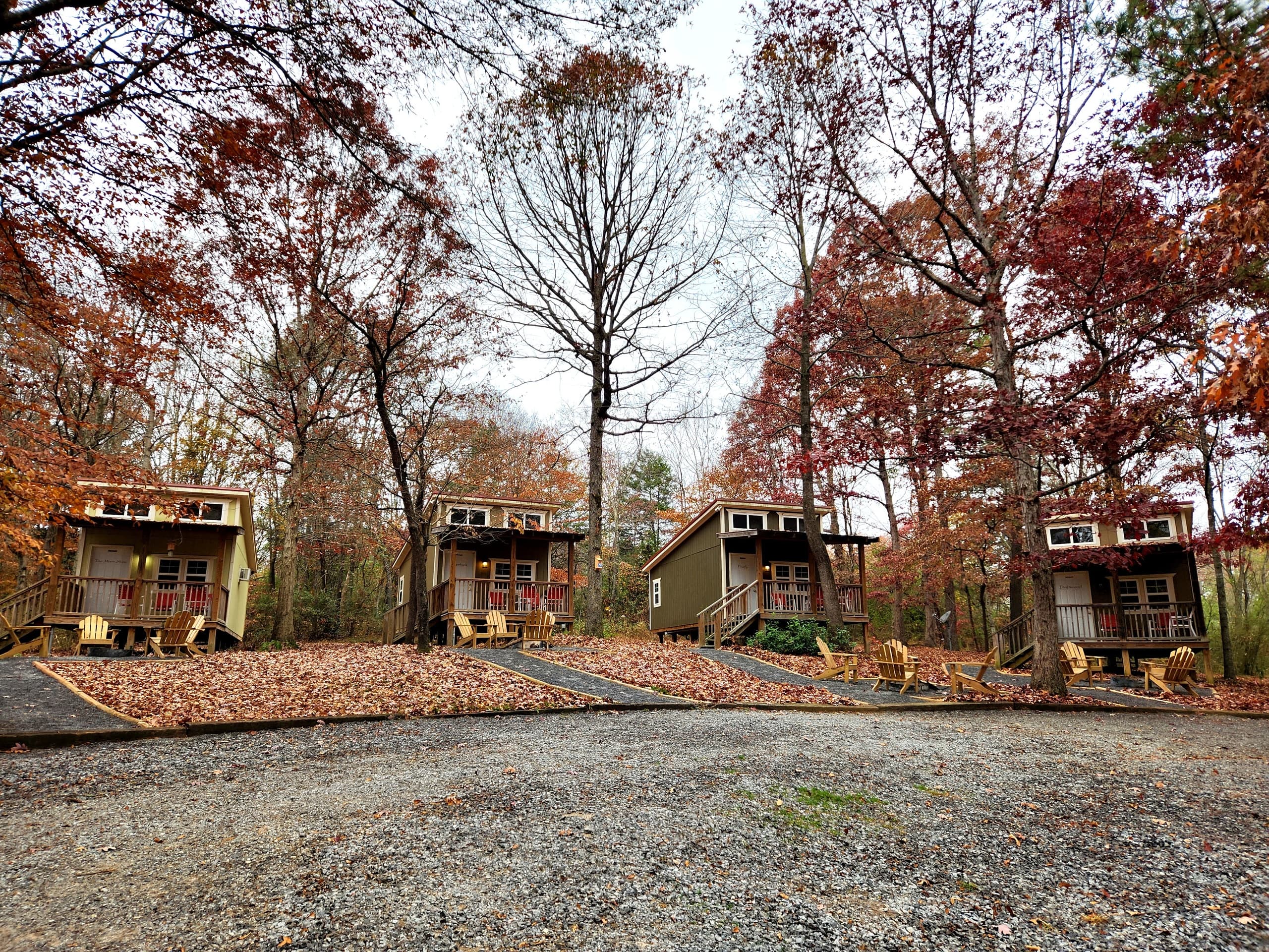 Driftwood Bungalow