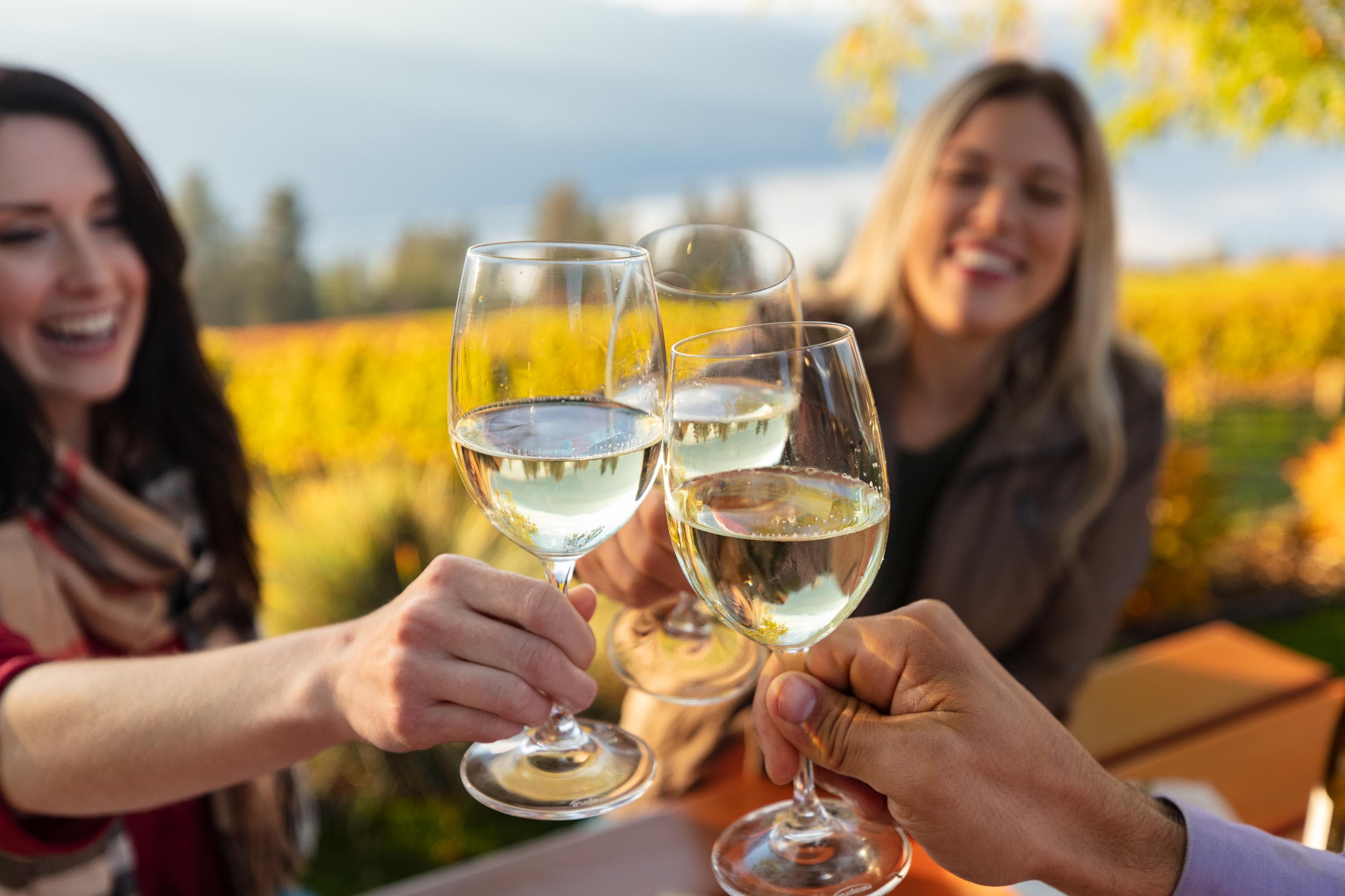 Wine Tour (Minivan)