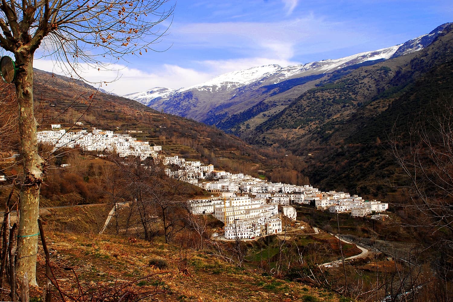 Trevélez y visita a secadero de jamón desde Granada