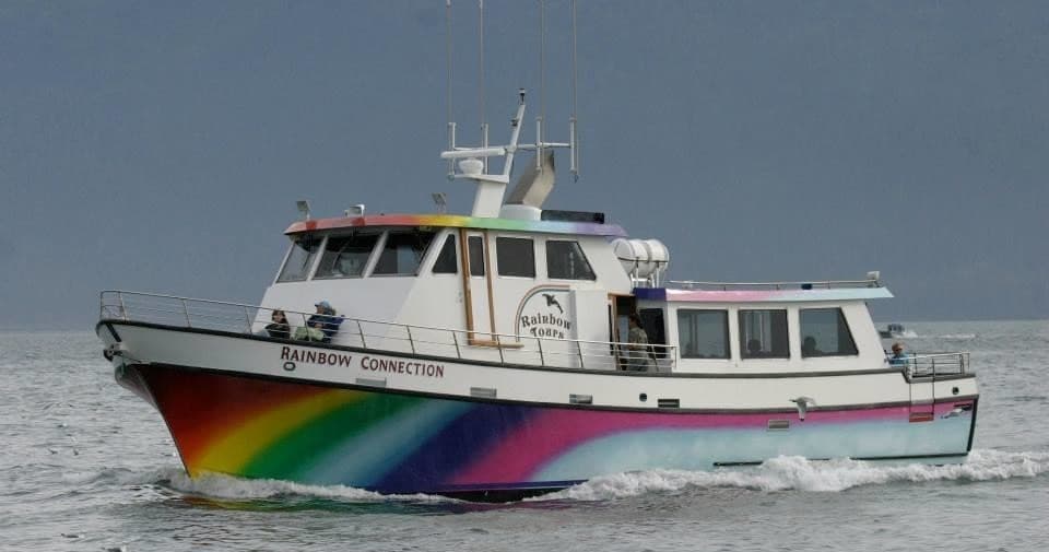 Kachemak Bay Tour - 11 AM Tour