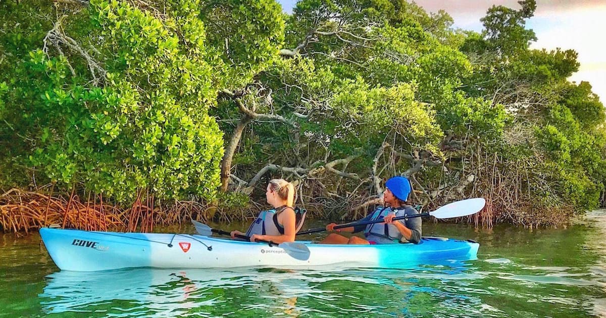 Shell Key Preserve Kayak Tour