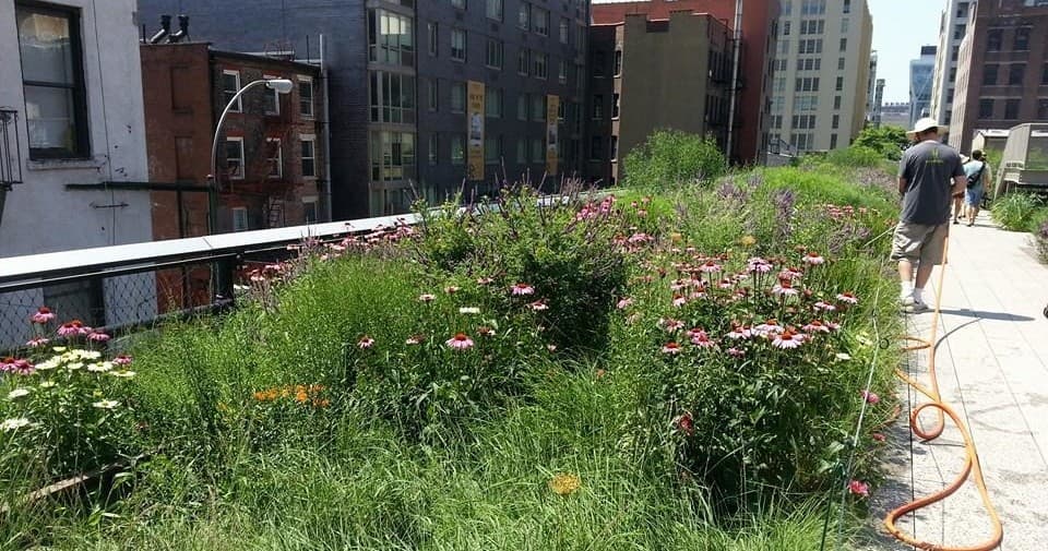 The High Line Tour