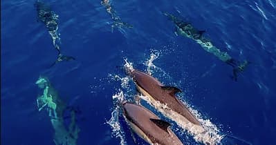 3 Hour Private Sail Tour on BLUE JACK SAIL