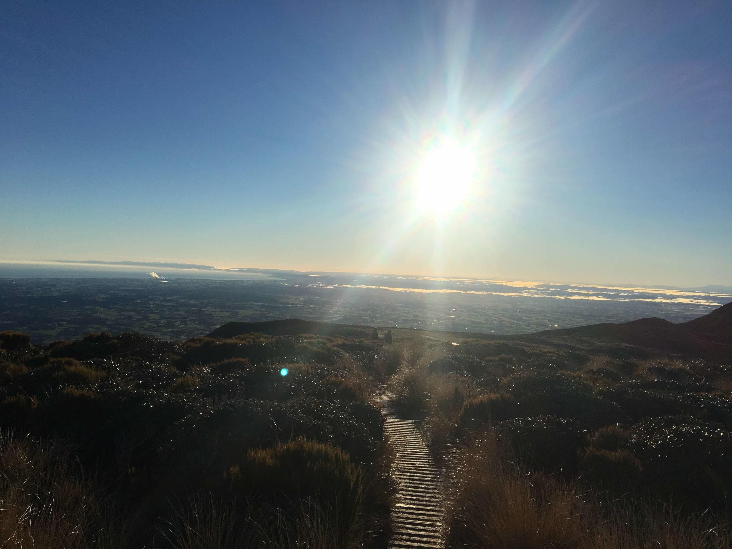 Pouakai Circuit / Around the Mountain Circuit