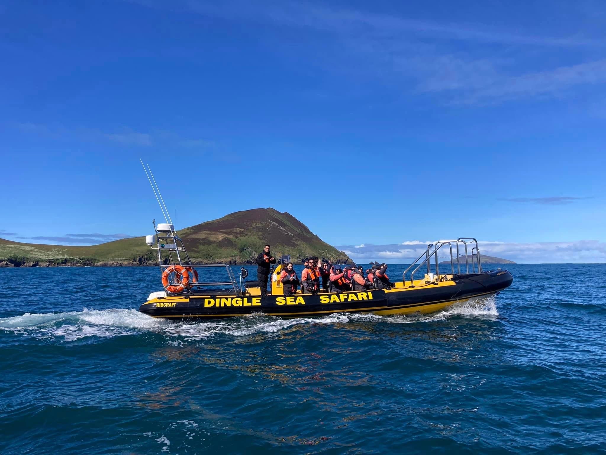 Private Hire - Dingle Sea Safari Rib Tour