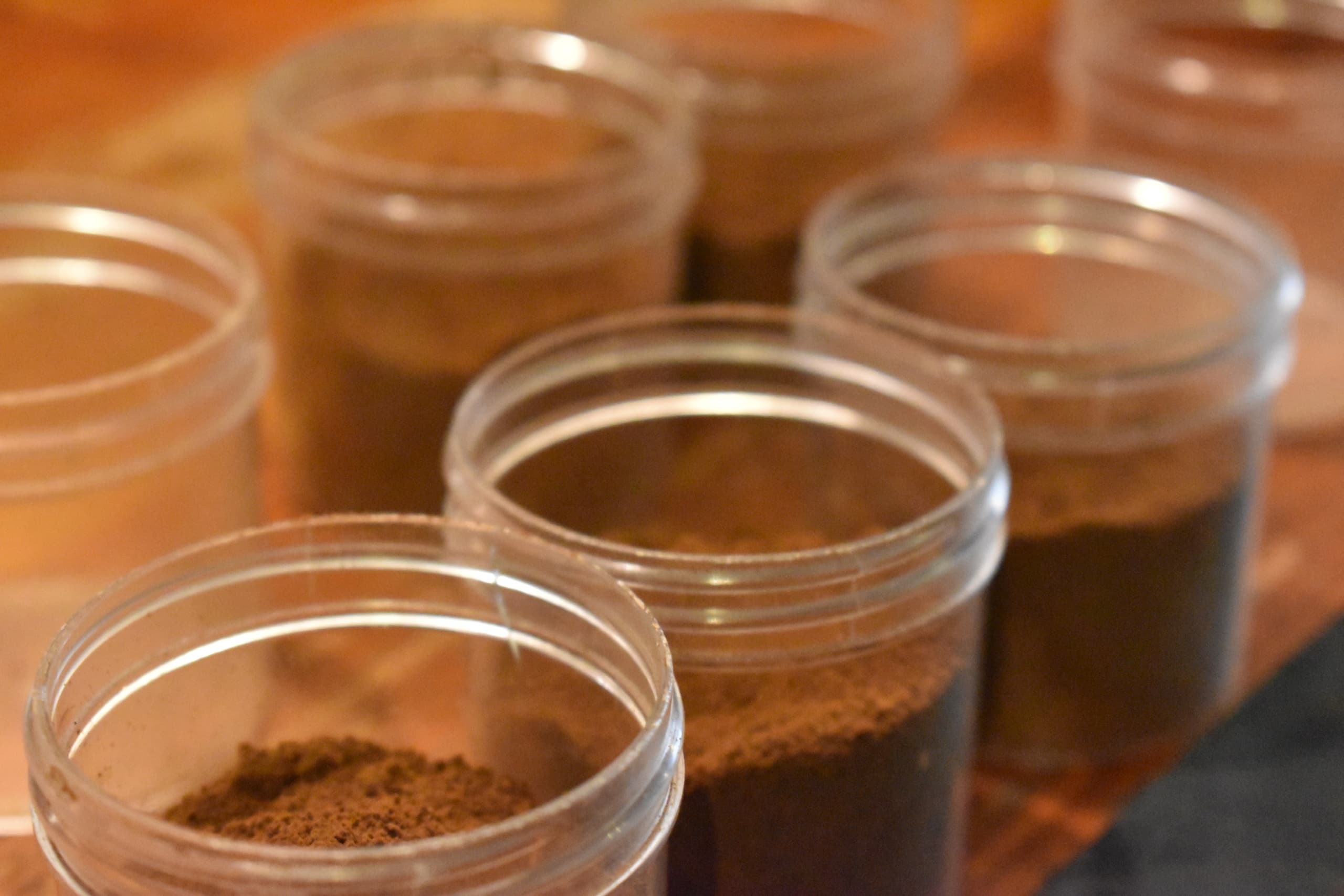 Private Seattle Coffee tour