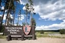 Signature Yellowstone NP–Lower Loop Tour departs Jackson WY