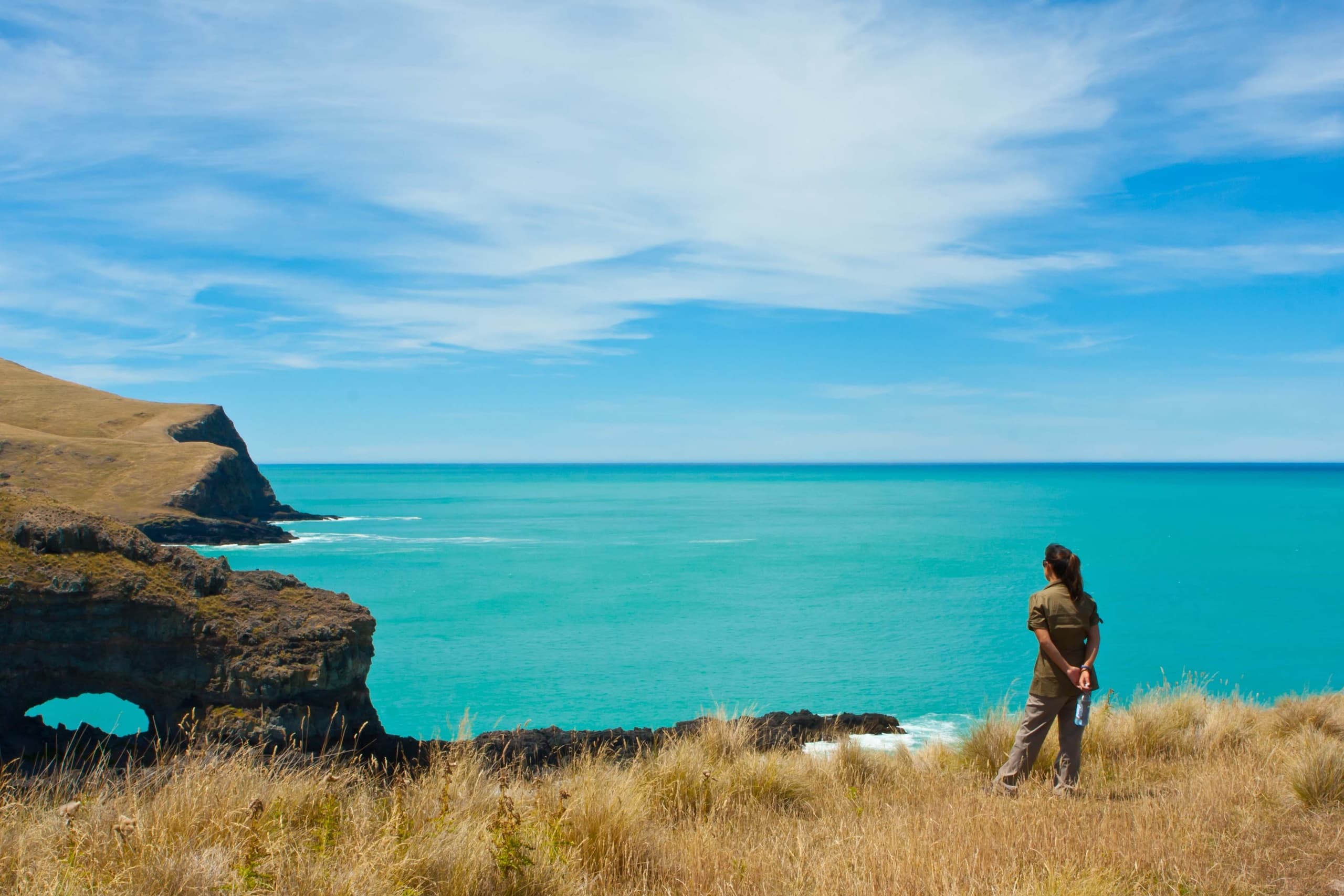 Full Scenic Nature Safari - Half day tour