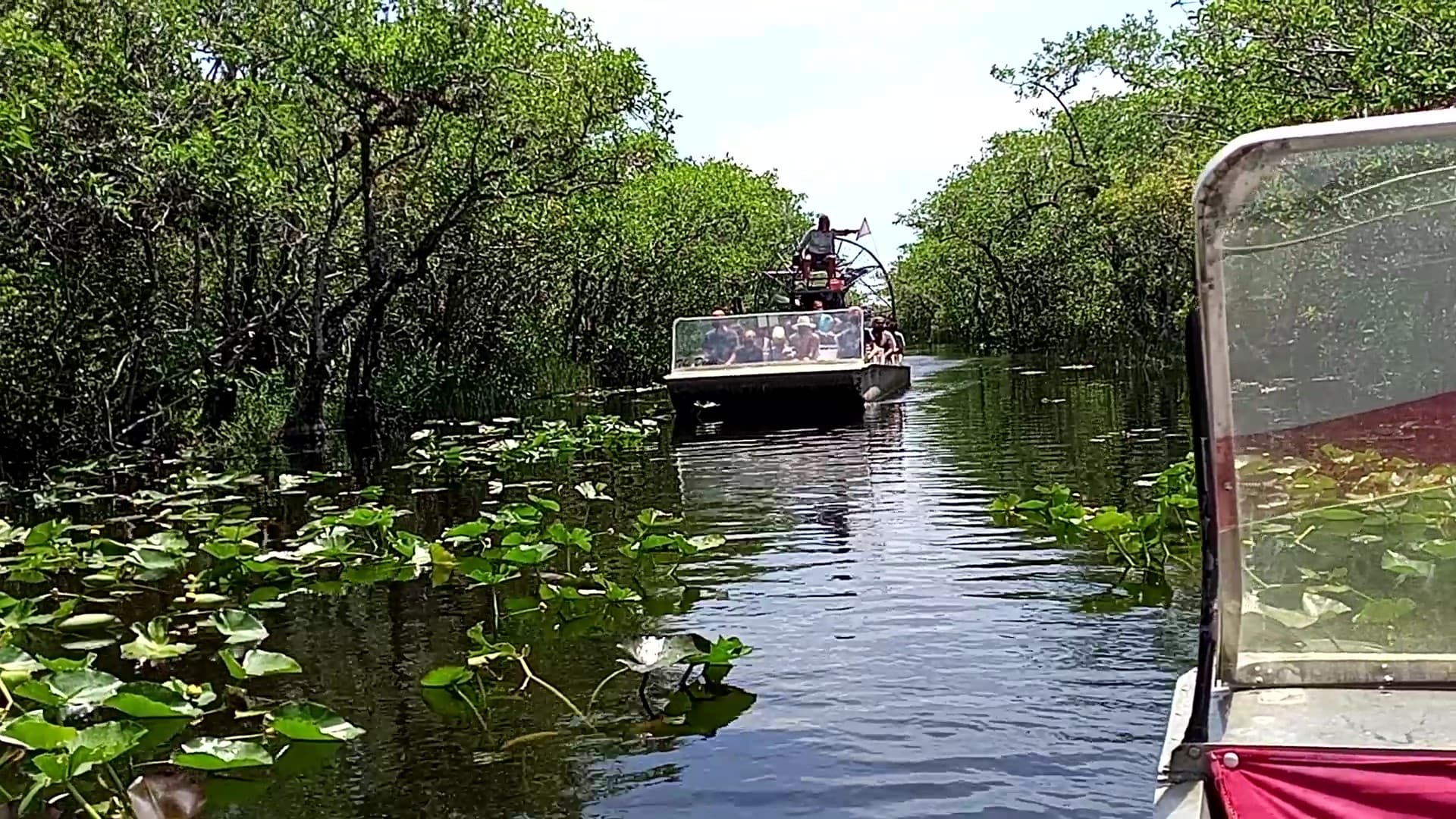 Everglades Airboat and Florida Alligator Show Tour