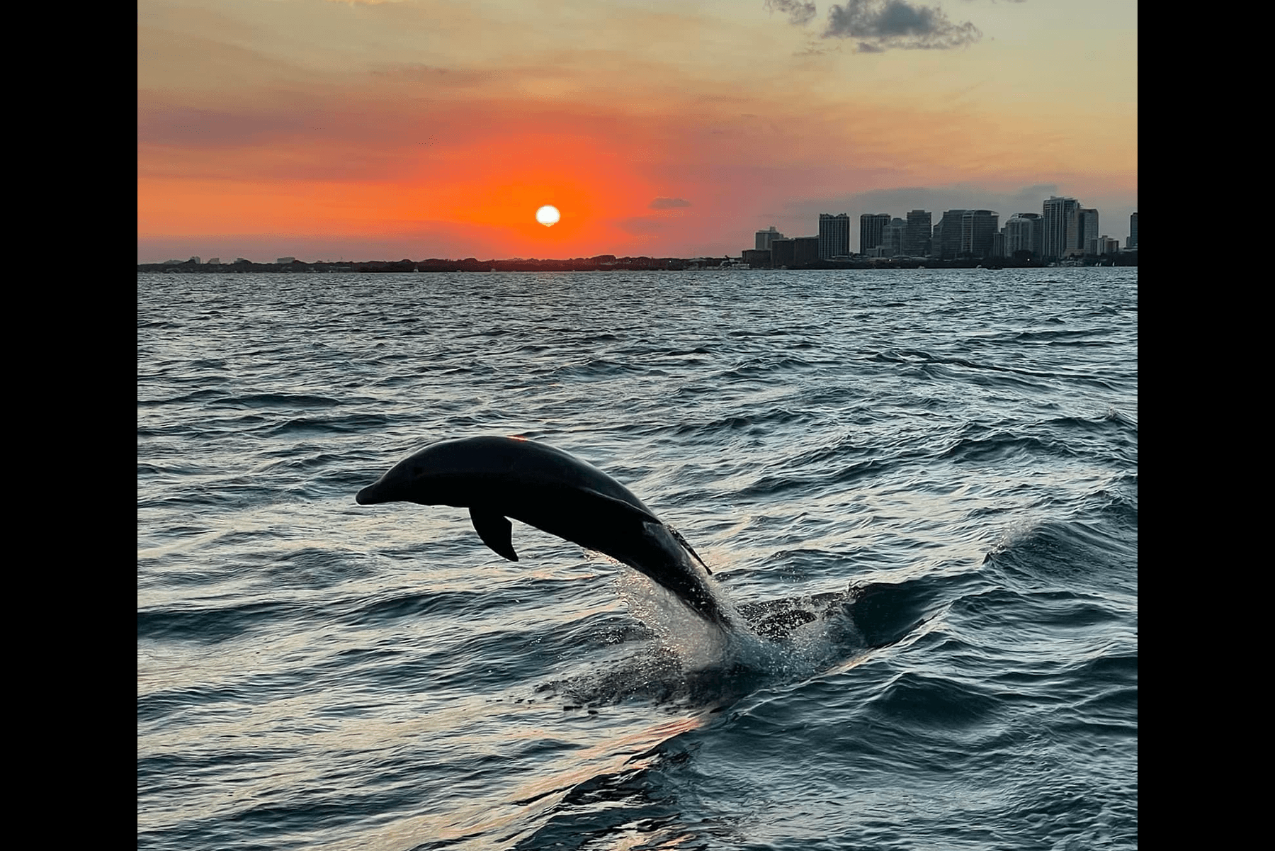 Vizcaya Sunset Cruise