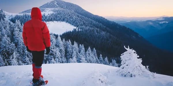 Tundra Tours; Winter Summit Fever 2.0