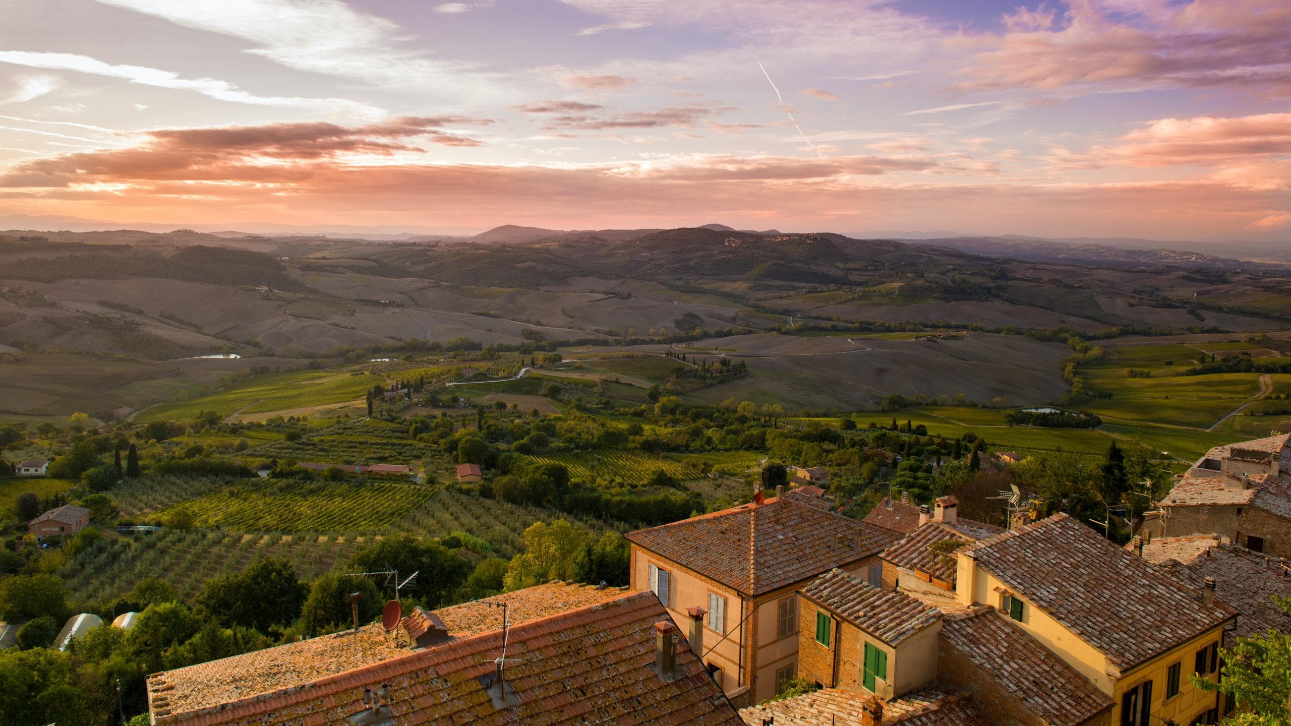 Montepulciano: Visita guidata in cantina con degustazione