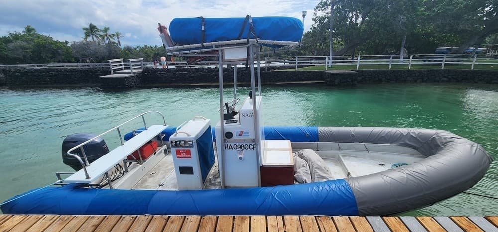 Small Group - Snorkel & Dolphin Adventure | Departs Keauhou Bay