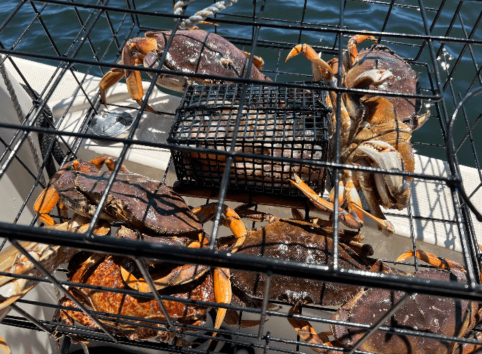 Private Charter - Crabbing