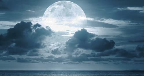 Moonlight Cruise