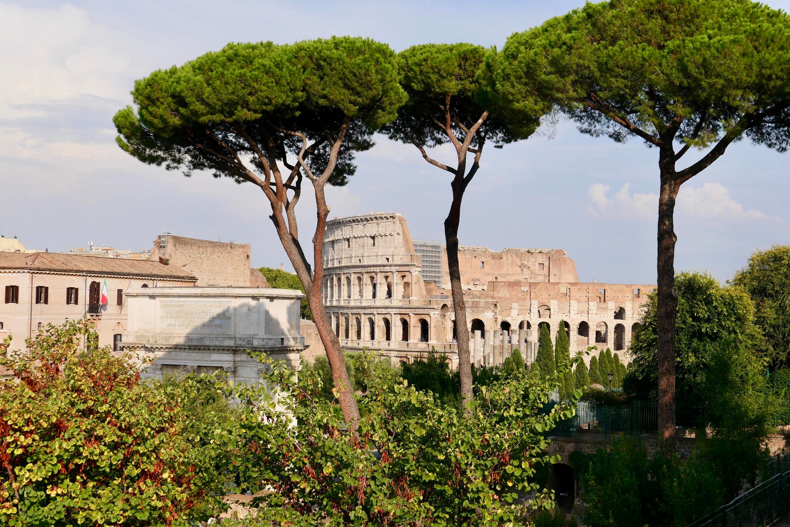 Tour Privado Pela Roma Antiga: Fórum Romano e Palatino com Circus Maximus Opcional