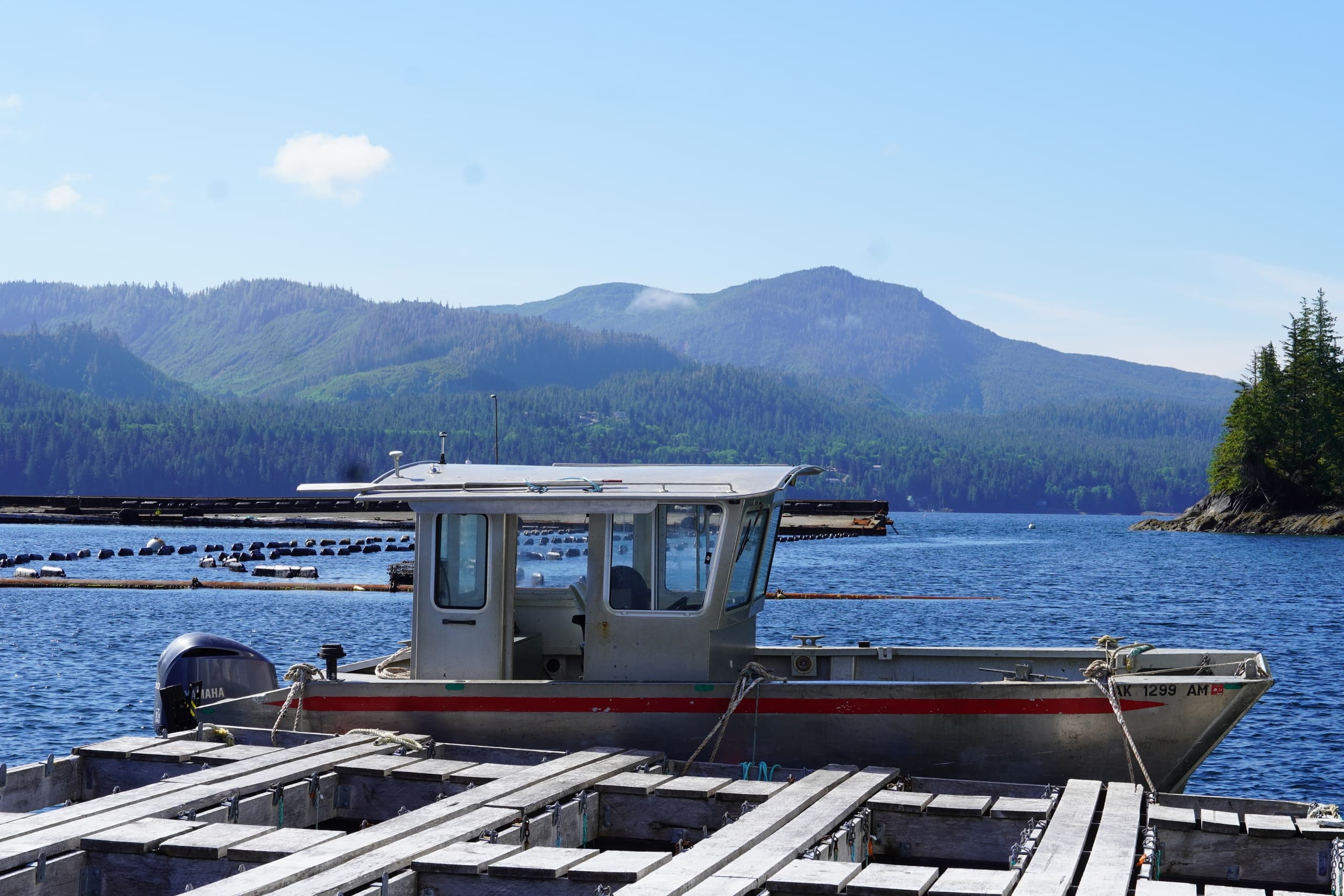 Oyster Dock & Dine