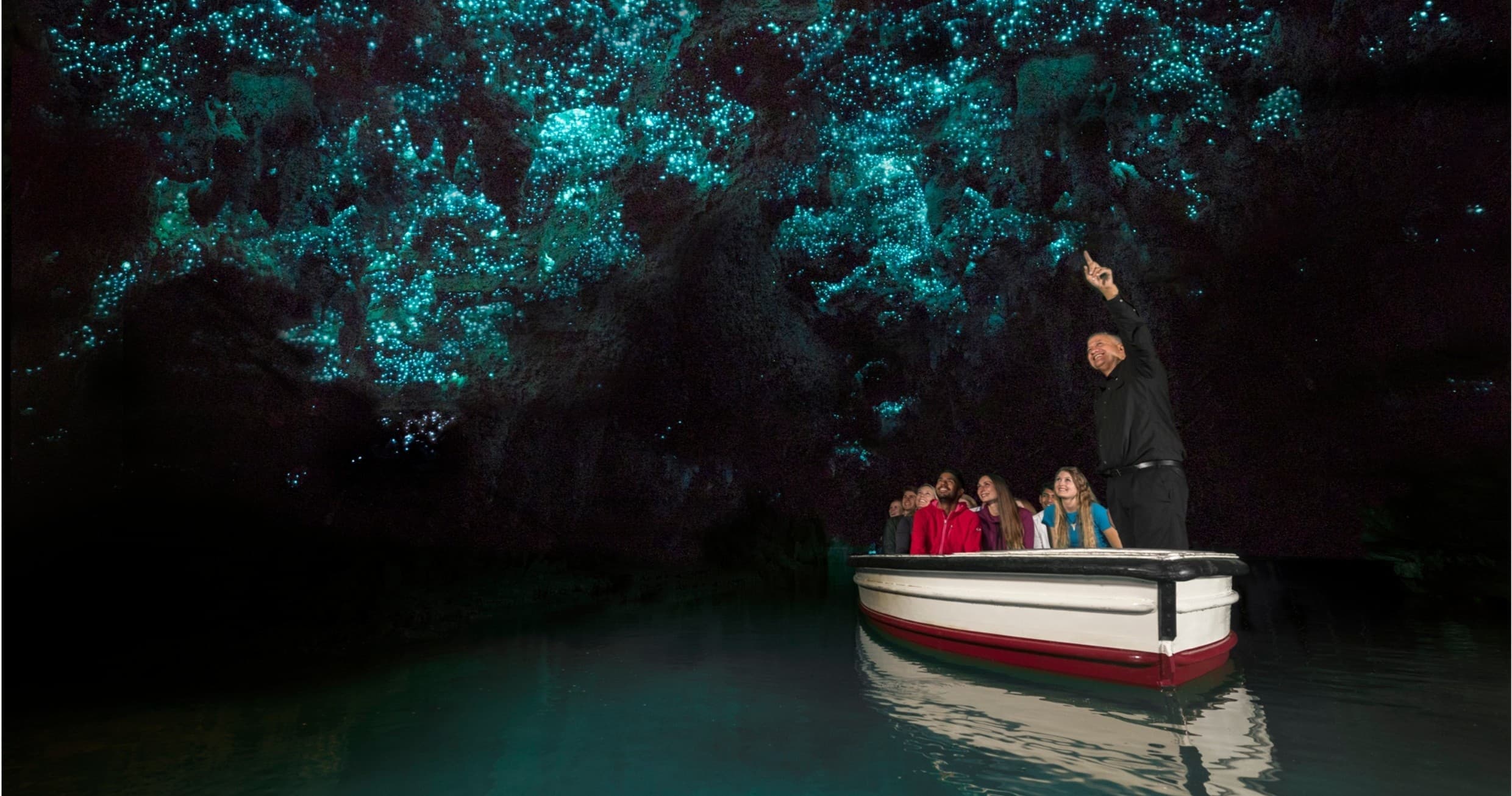 Auckland to Rotorua via Waitomo Caves One-Way Private Tour