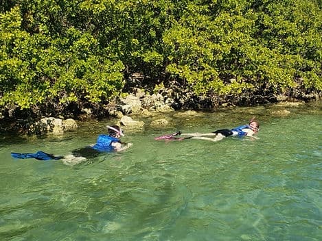 Beginner Friendly Island Snorkeling  (North Miami Area)