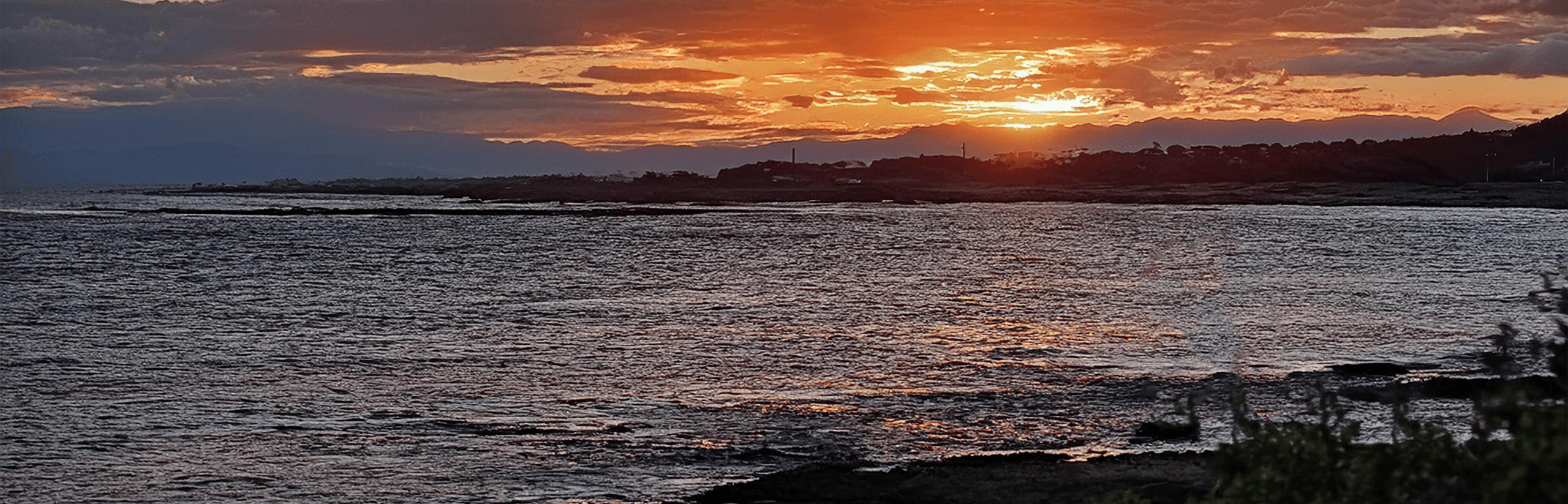 Seaside wood burning sauna private session experience
