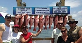 6 Hour Inshore Bay Fishing