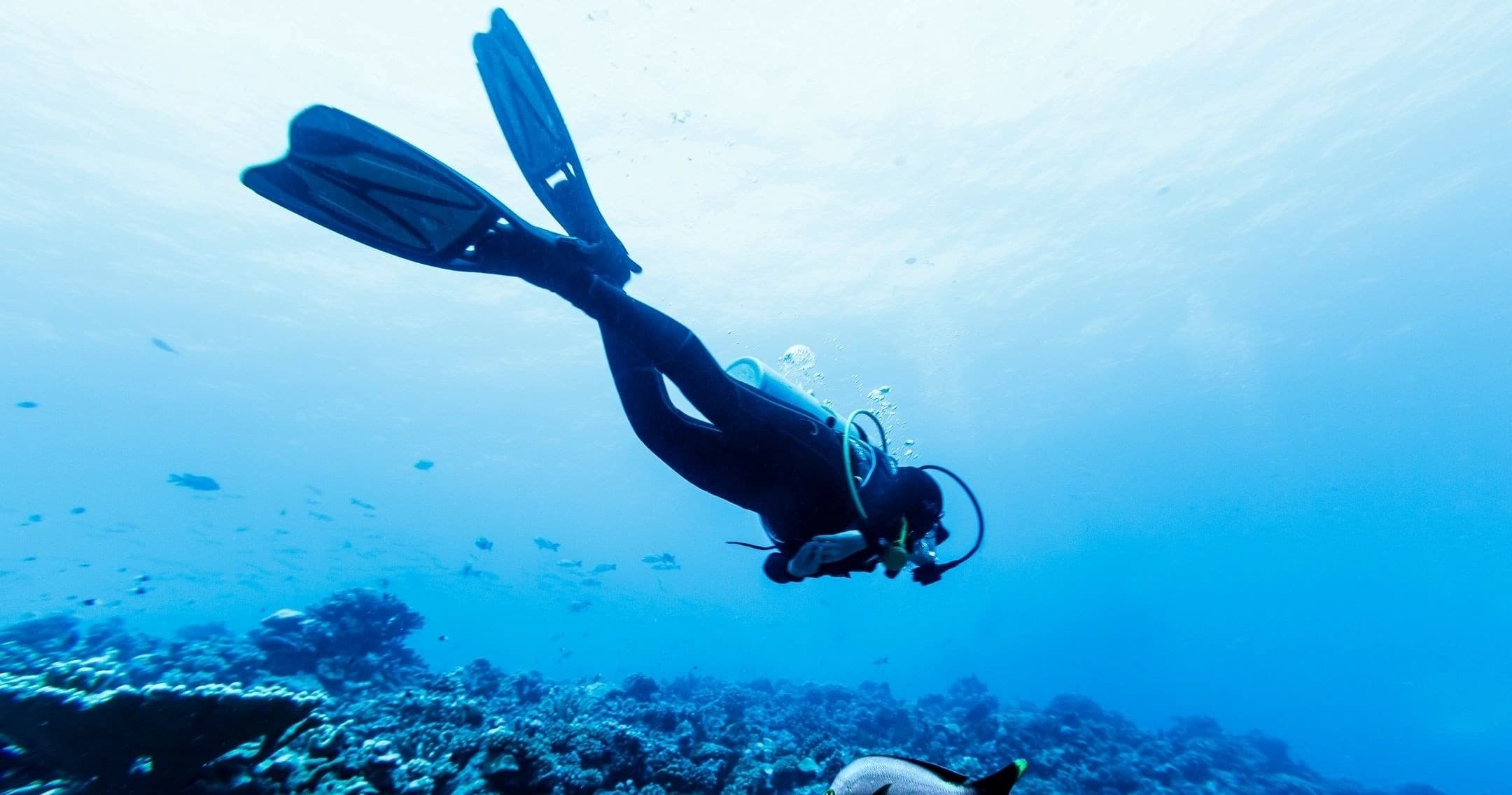 Open Water Basic
