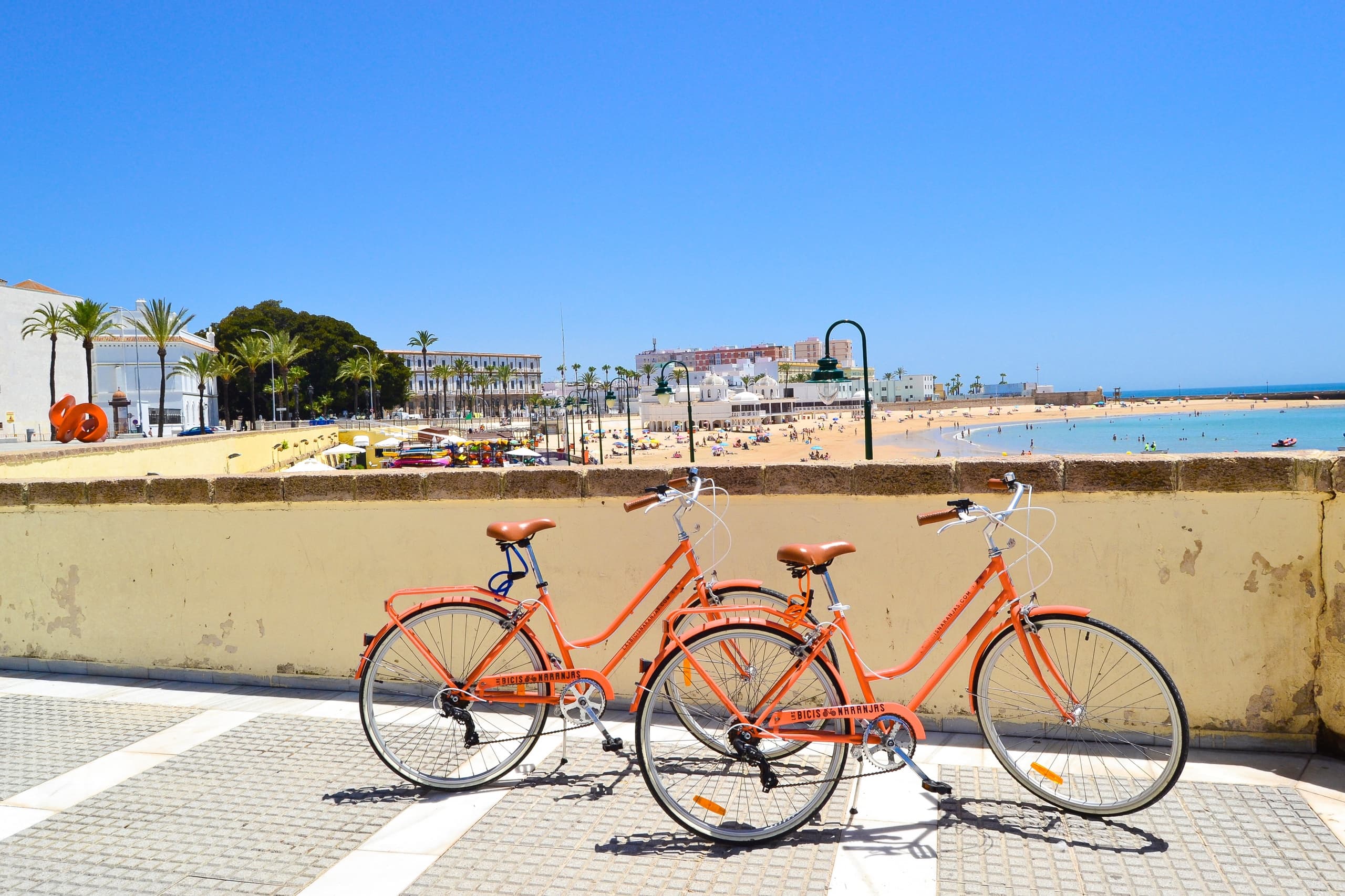 Alquiler de Bicicletas por Dias