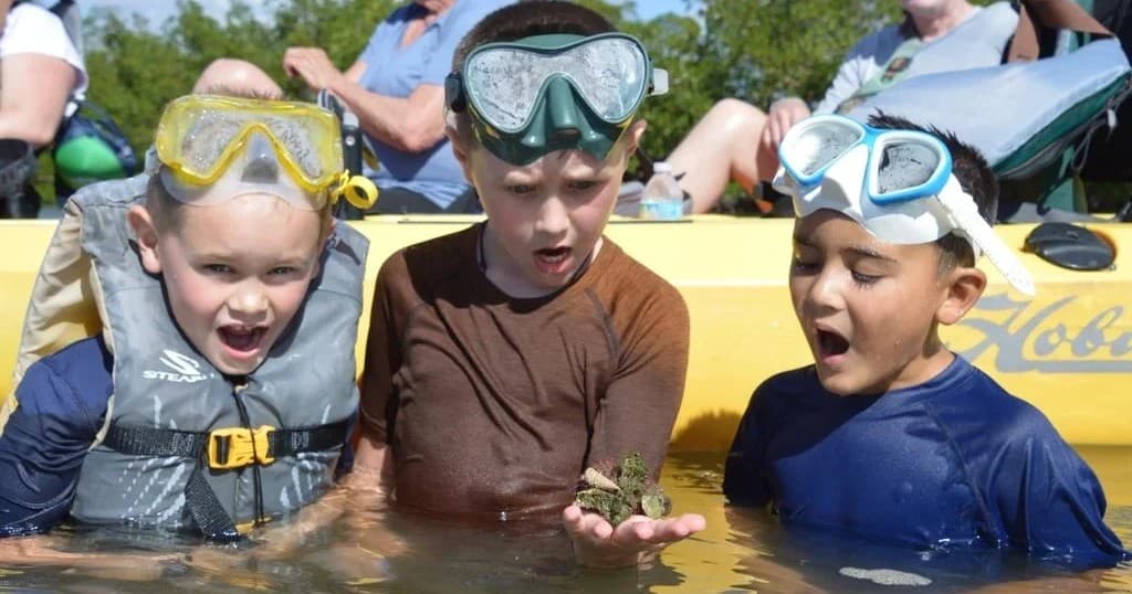 Deluxe kayak Tour| Marco Island and Naples, Florida
