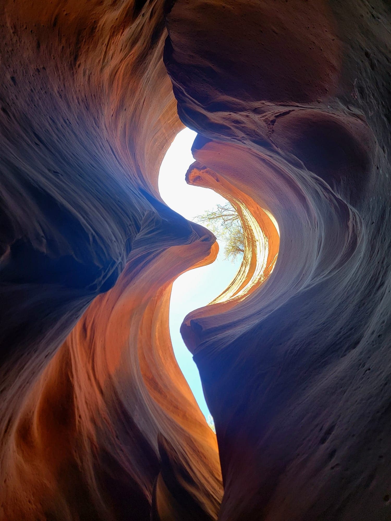 Award Winning UTV Slot Canyon Tour