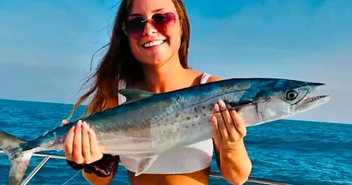 3/4 Day Trip - Reef/Wreck/Offshore