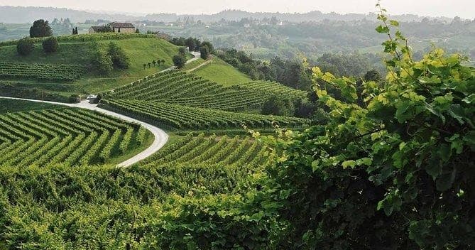 Prosecco tasting and lunch on the Hills