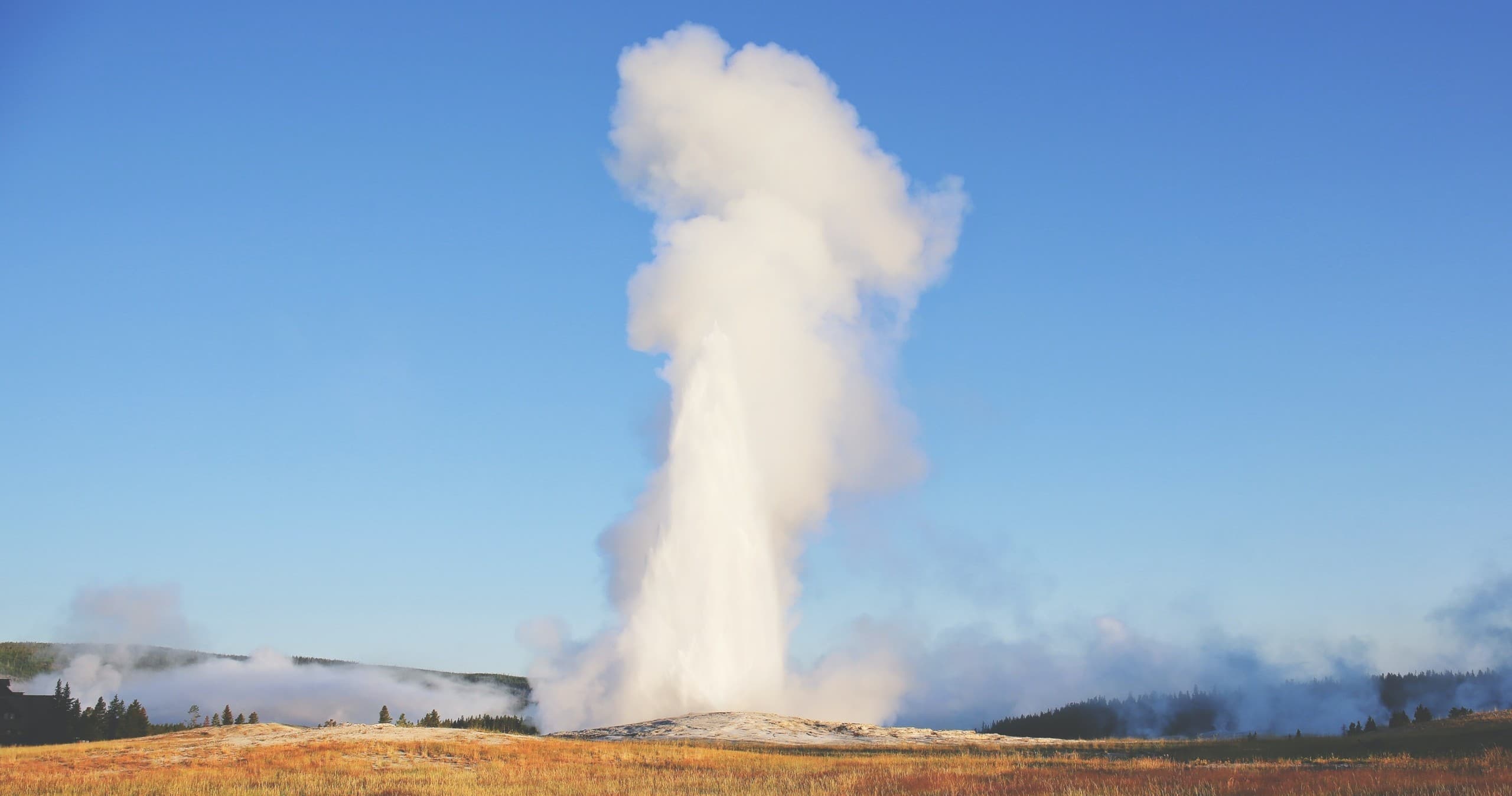 Private VIP Yellowstone Lower Loop Adventure All-Day Tour with Lunch - Iconic Sites