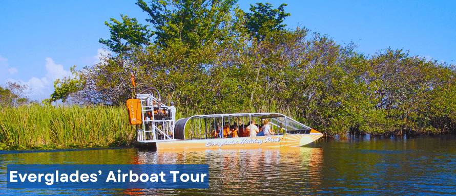 Half-Day Everglades' Airboat Tour