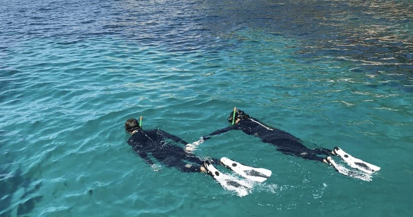 Snorkel Medes