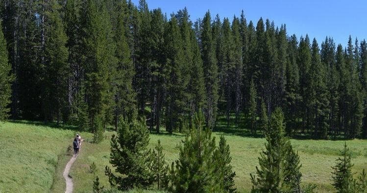 Private DeLacy Creek Full Day Hiking Adventure