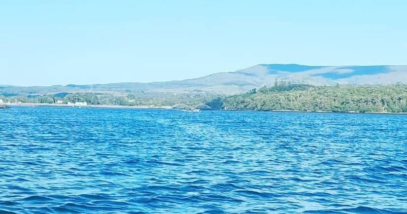 Kenmare Bay Boat Tour