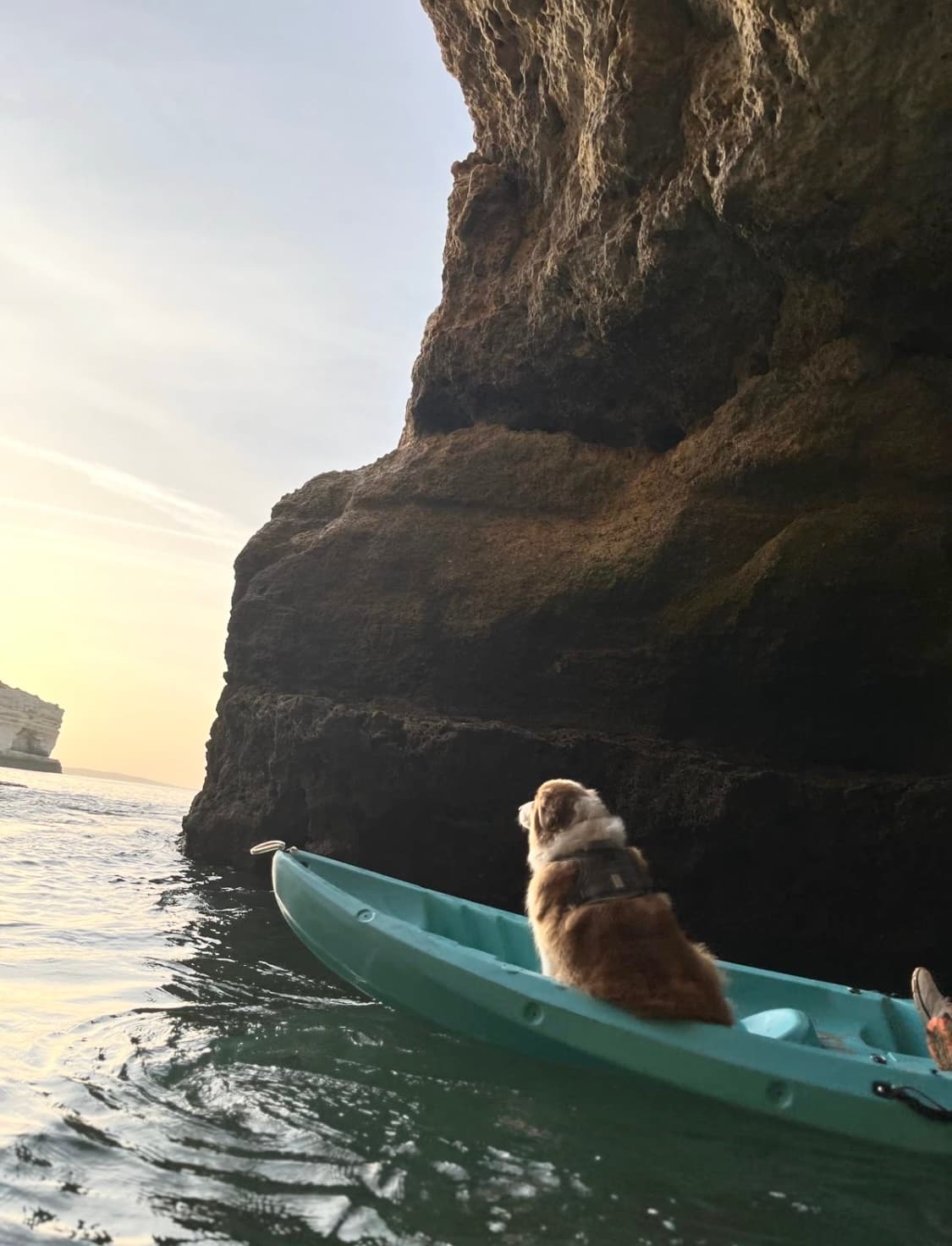 Kayak with Pups in Paradise (BYOP) Bring Your Own Pup