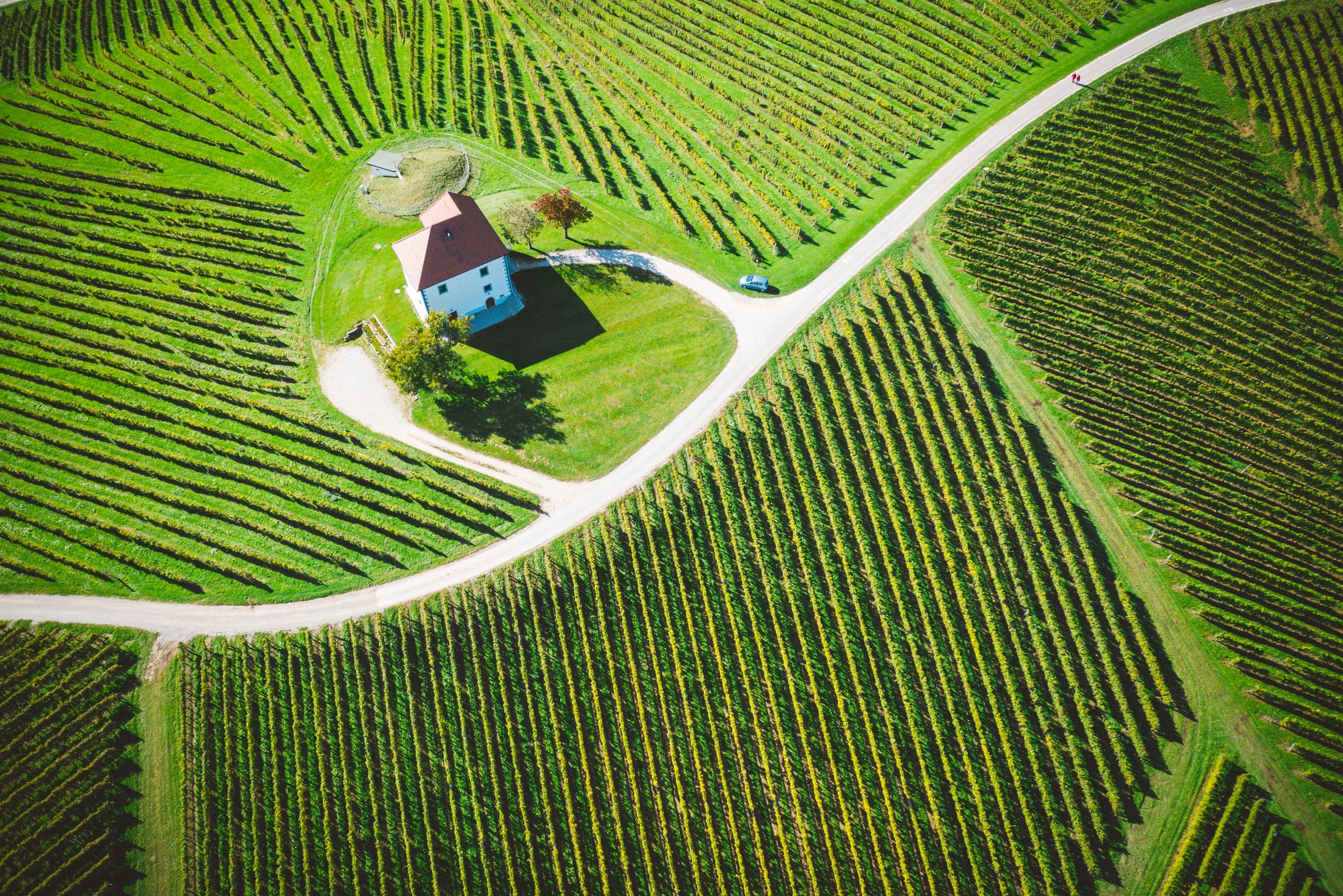 Slovenske Konjice: Liquid treasure from the Golden hill