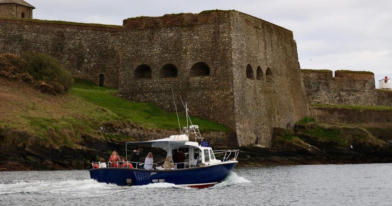 Scenic Harbour & Wildlife Tour